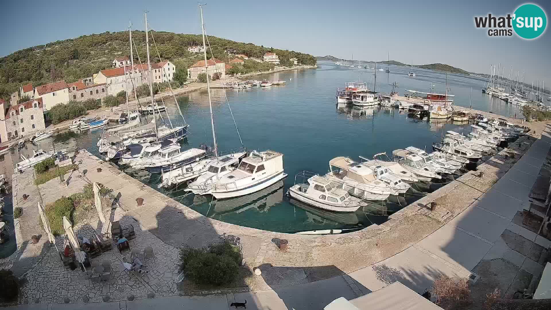 Otok Zlarin