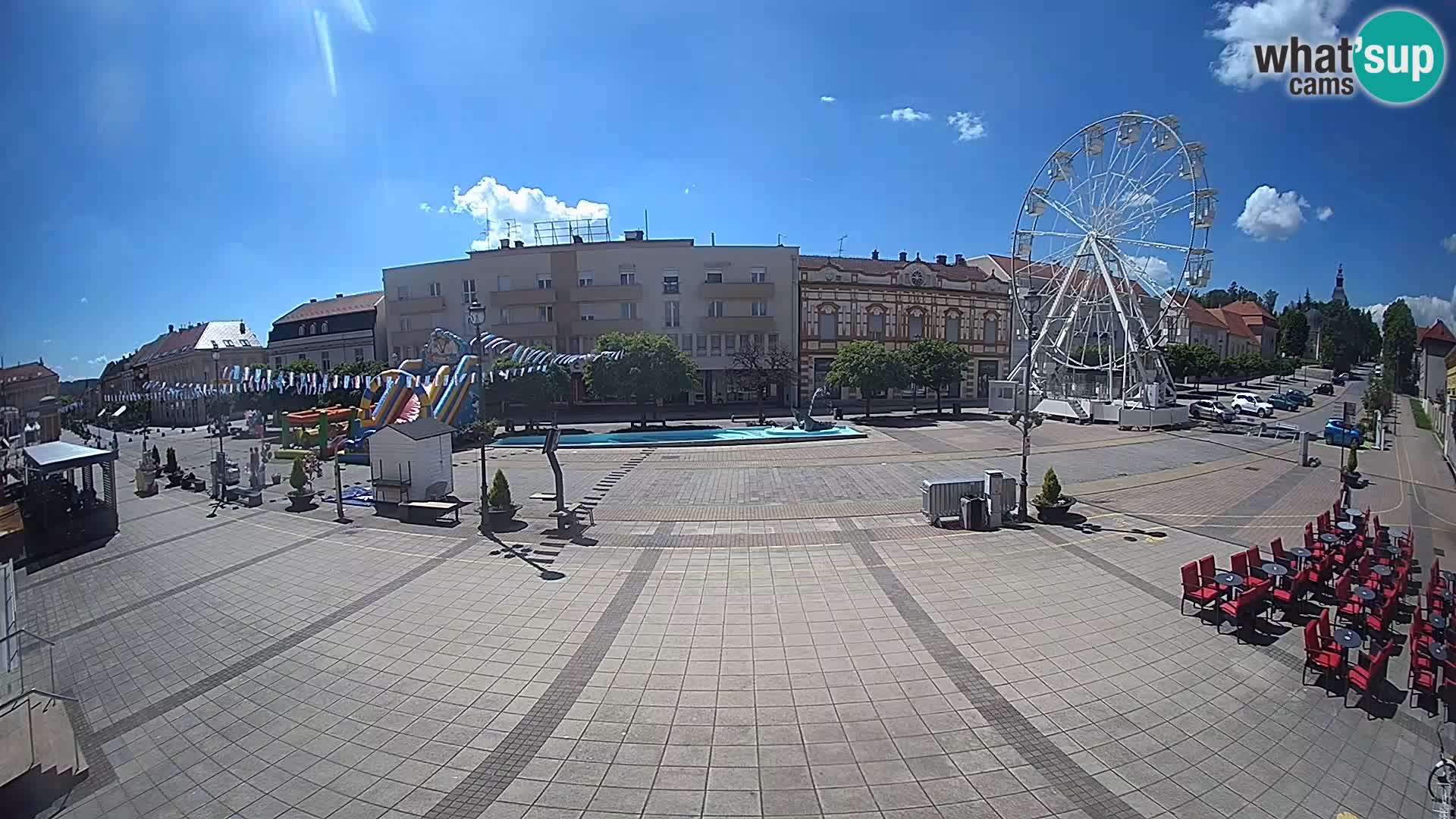 Daruva – Trg kralja Tomislava