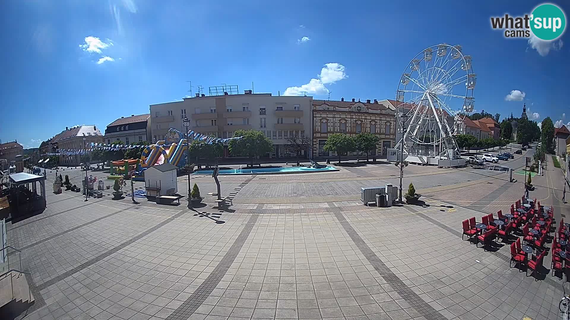 Daruva – Trg kralja Tomislava