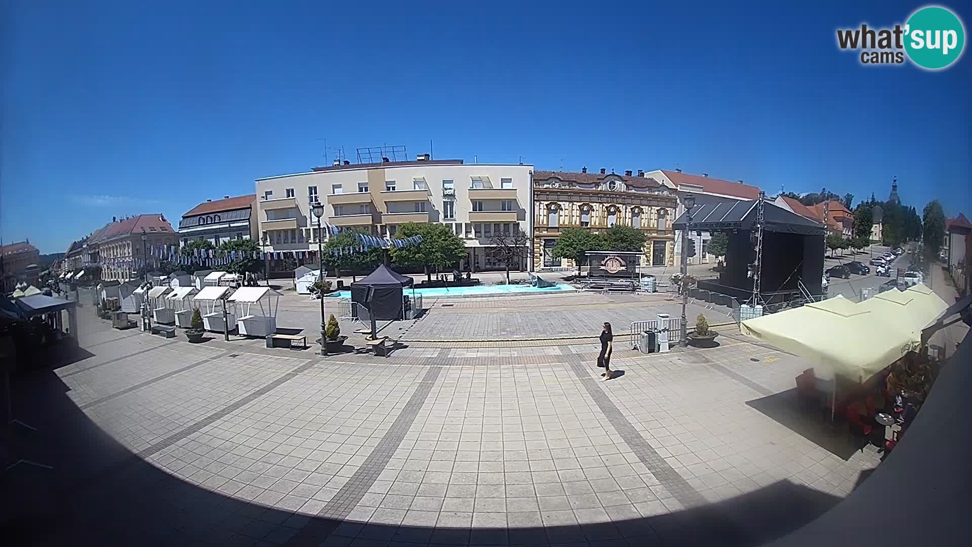Daruva -Trg kralja Tomislava