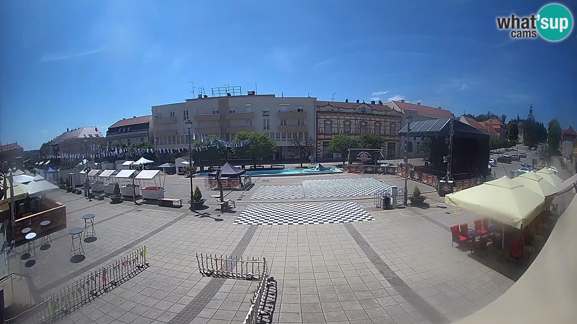Daruva – Plaza del rey Tomislav