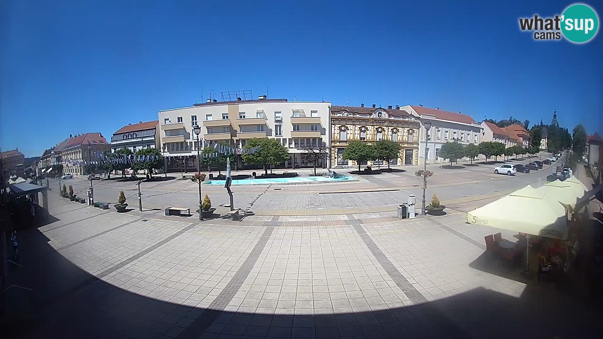 Daruva – Trg kralja Tomislava