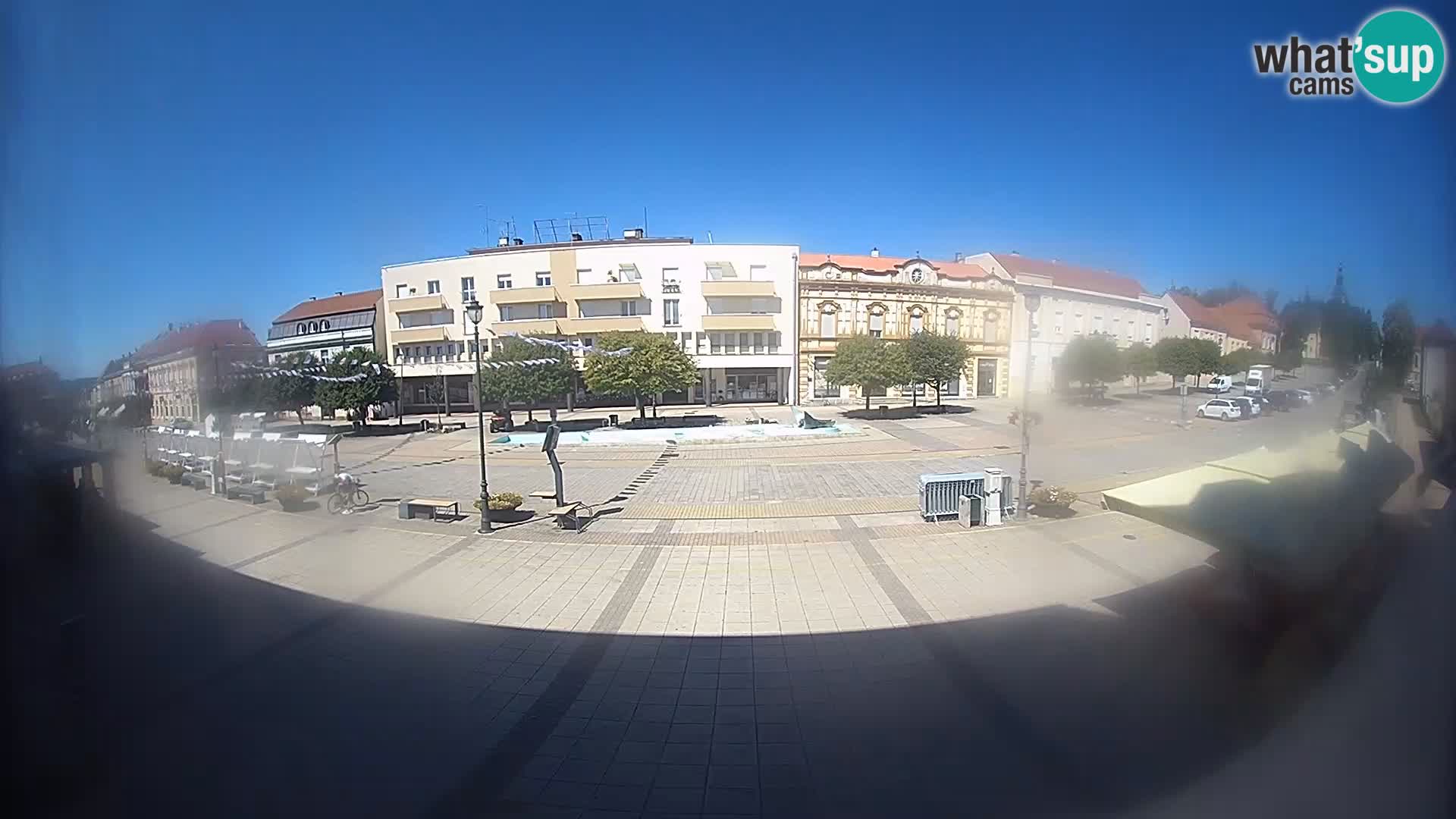 Daruvar – King Tomislav Square