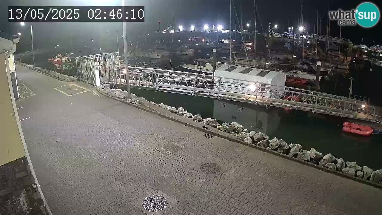 Fenit Marina livecam