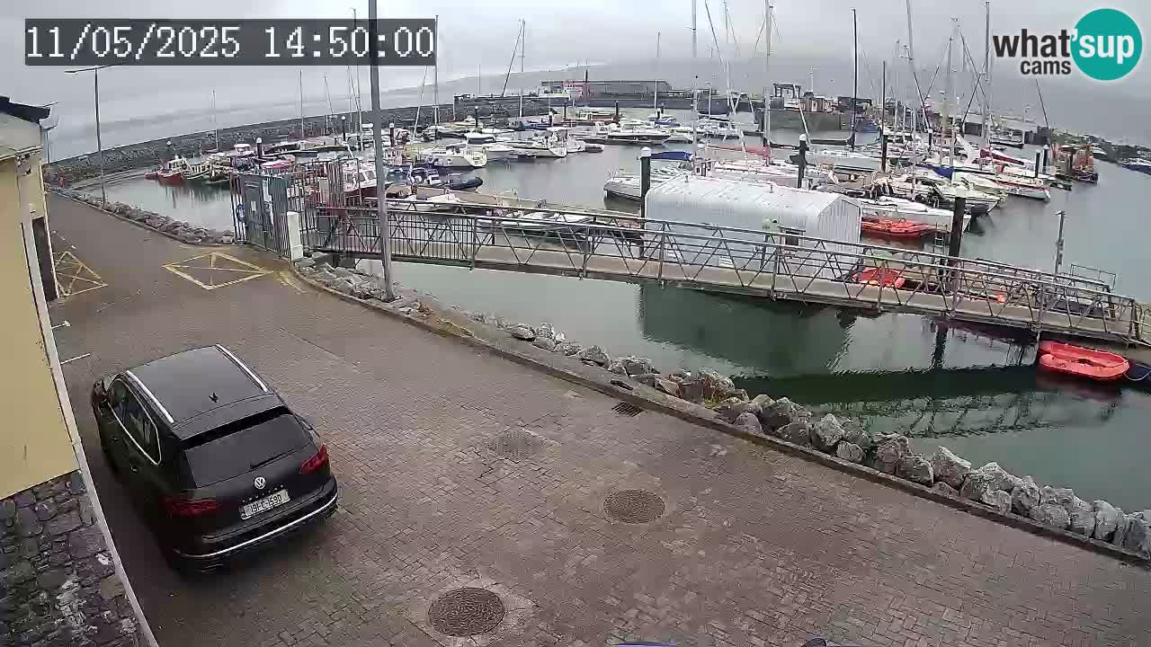 Fenit Marina webcam
