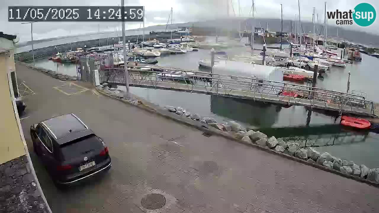 Fenit Marina webcam