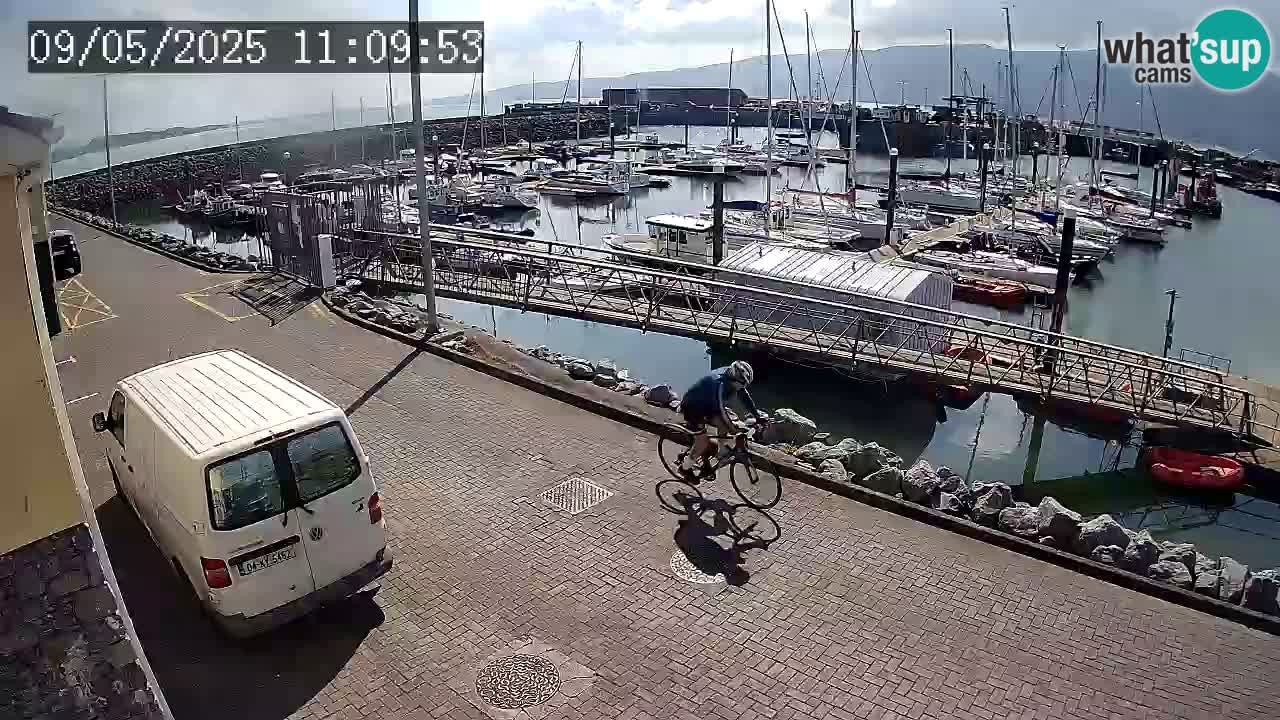 Fenit Marina webcam