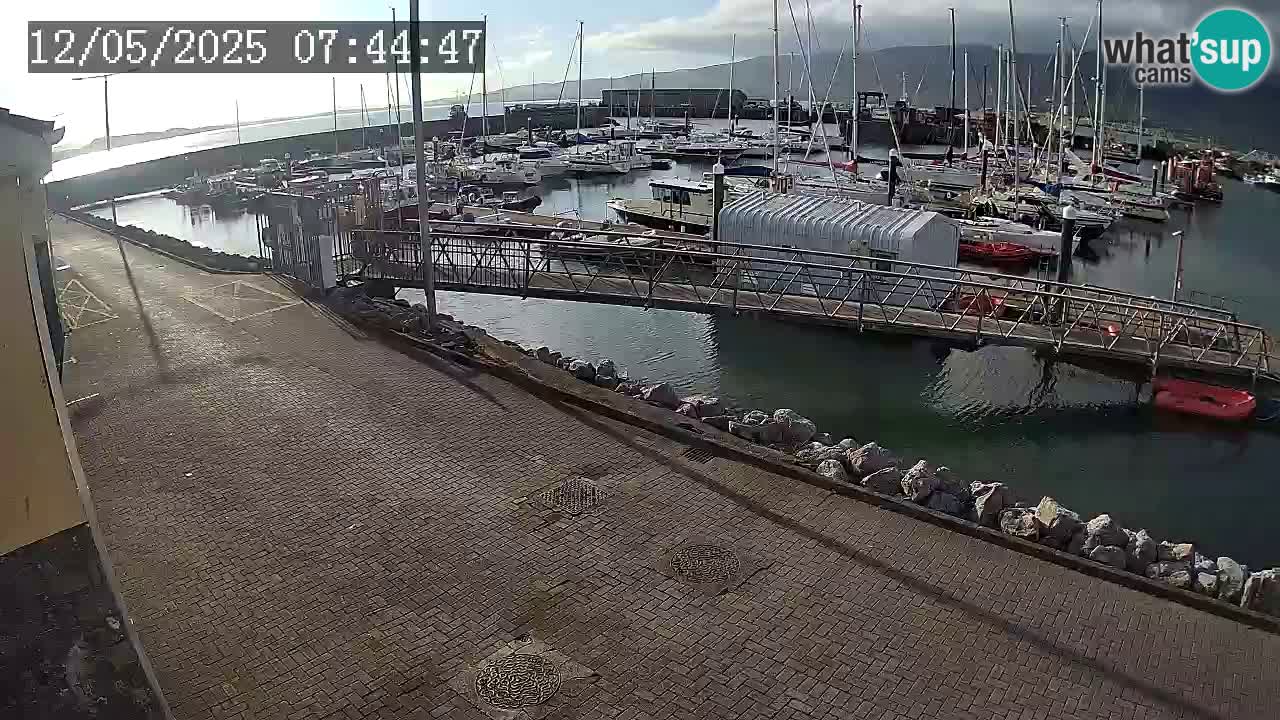 Fenit Marina camera en vivo