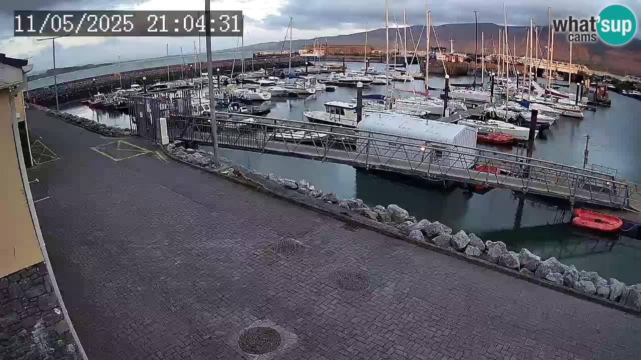 Fenit Marina spletna kamera