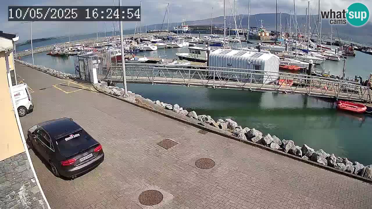Fenit Marina livecam