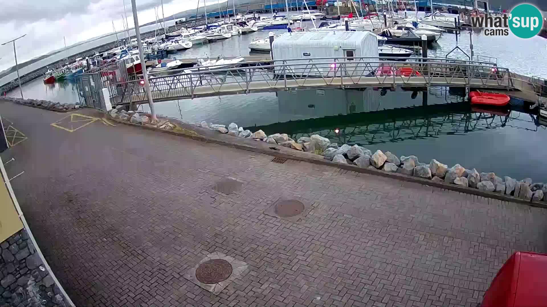Fenit Marina webcam