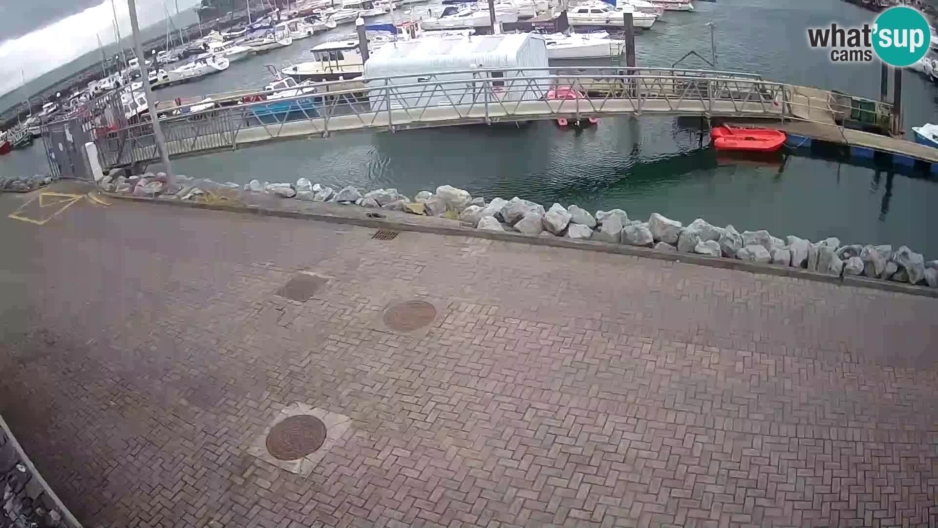 Fenit Marina spletna kamera