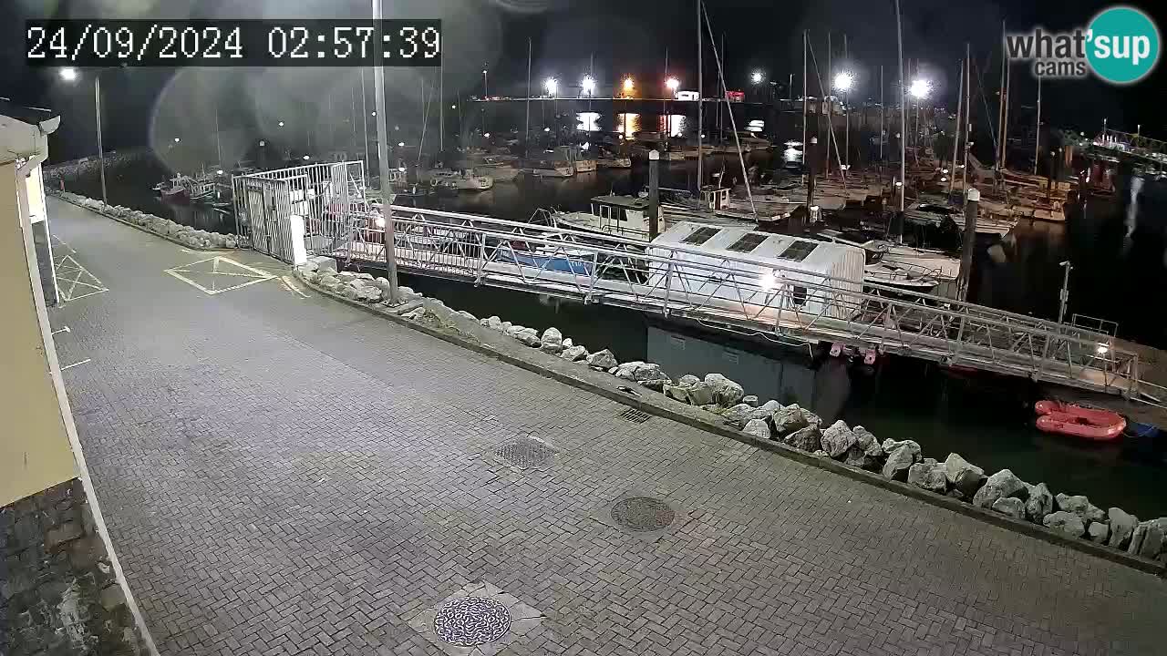 Fenit Marina livecam