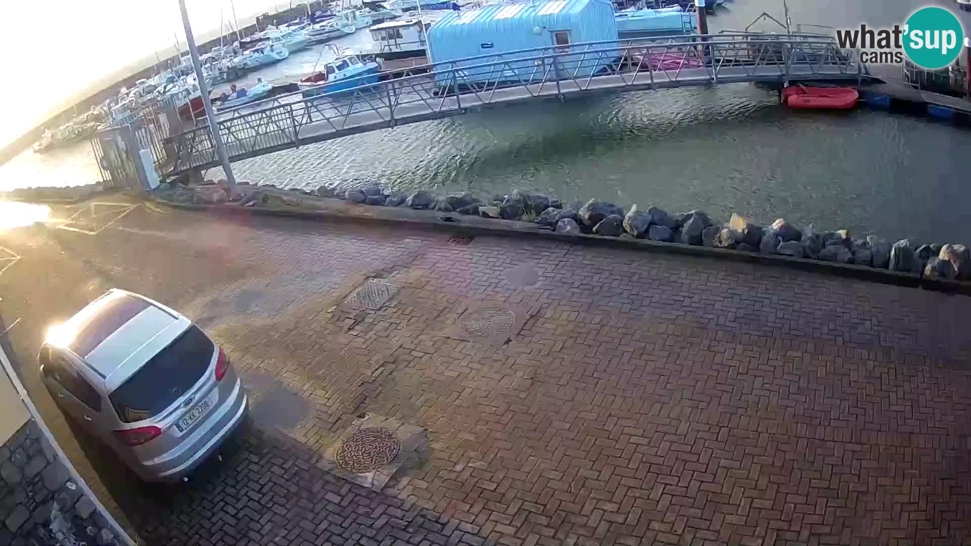 Fenit Marina webcam