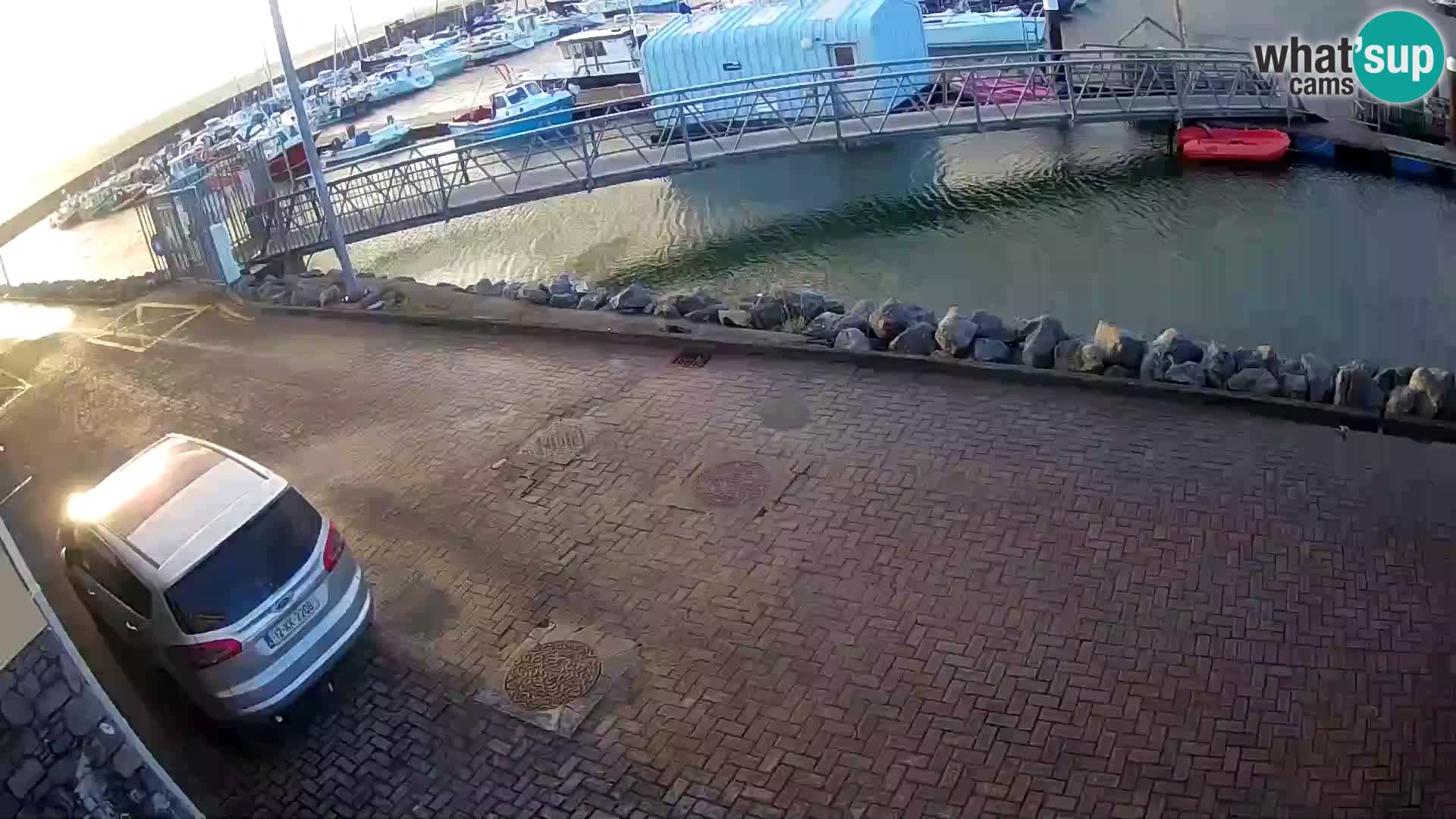 Fenit Marina livecam