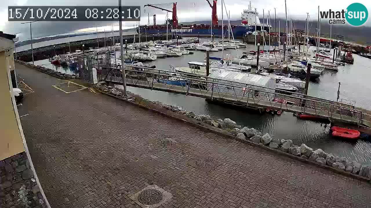 Fenit Marina spletna kamera