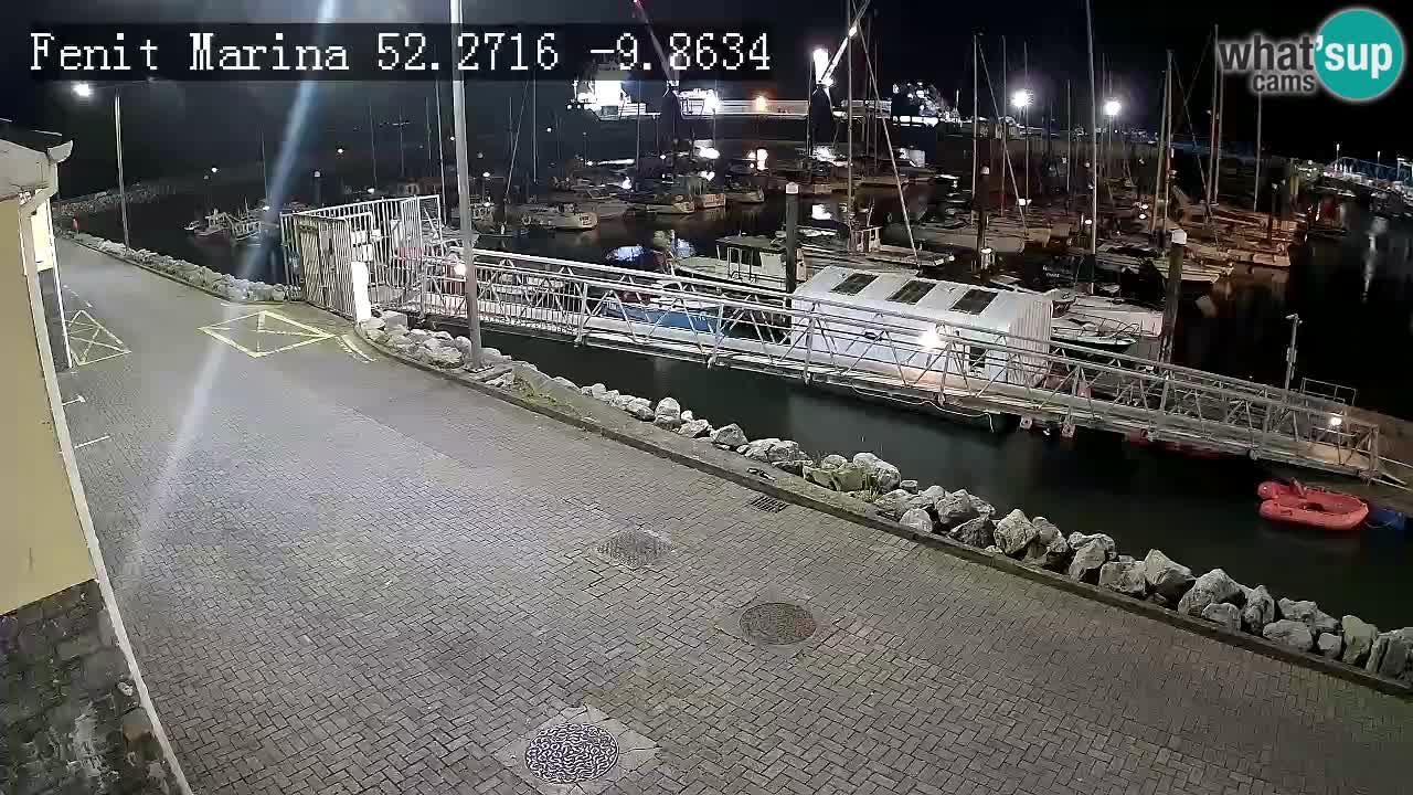 Fenit Marina livecam