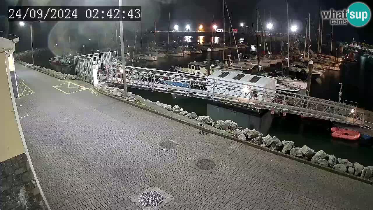 Fenit Marina livecam