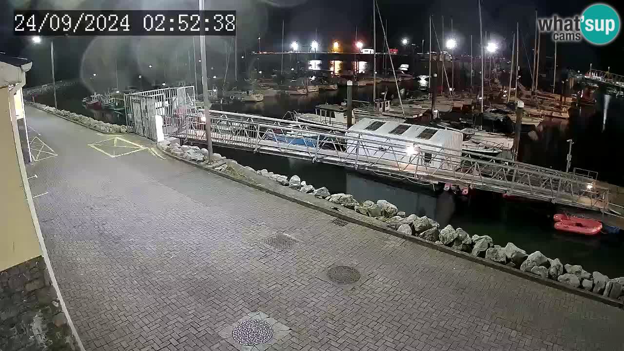 Fenit Marina live webcam