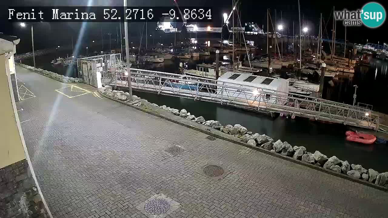 Fenit Marina livecam