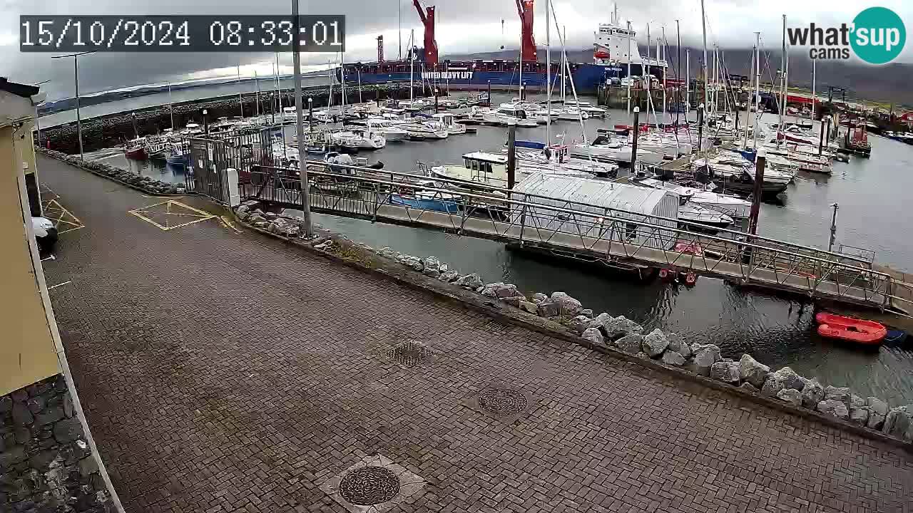 Fenit Marina web kamera