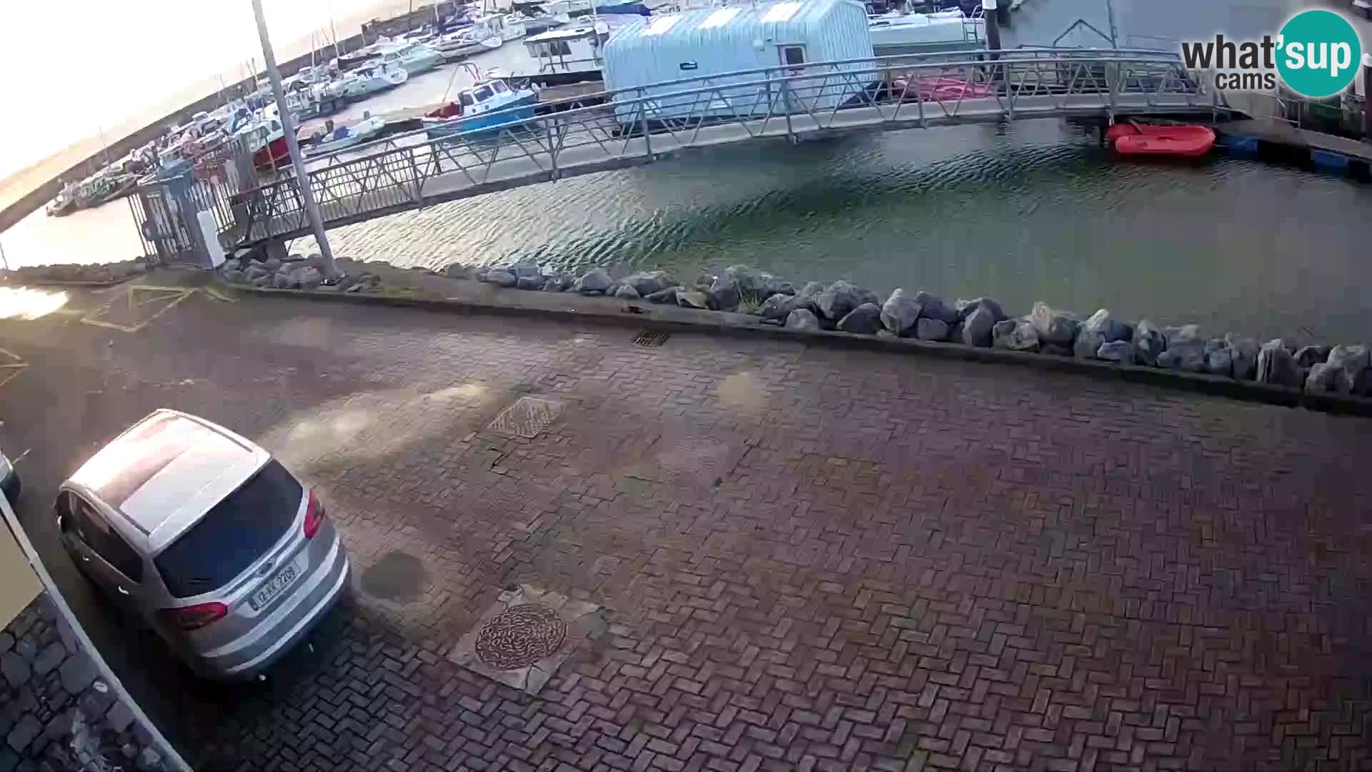 Fenit Marina webcam