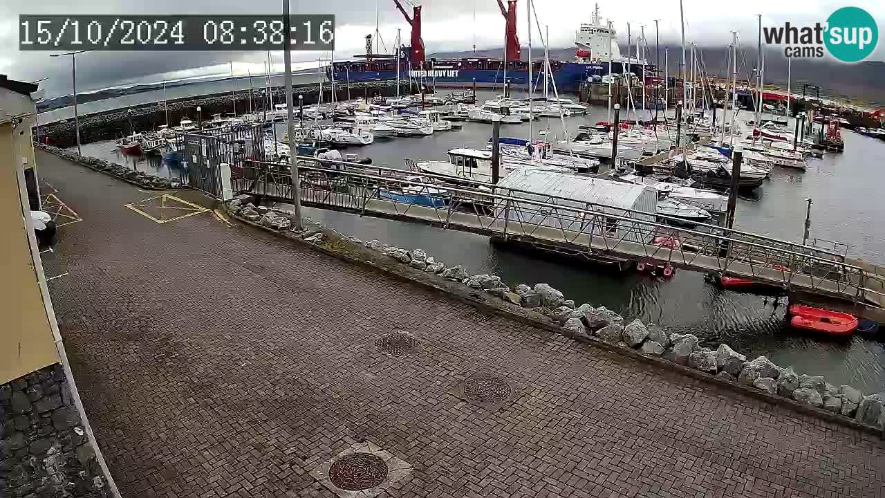 Fenit Marina live webcam