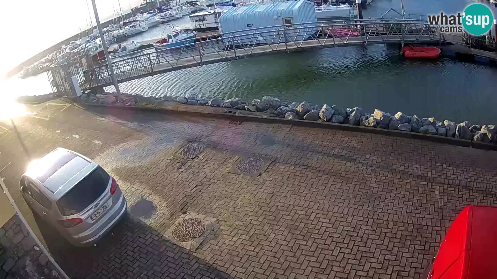 Fenit Marina spletna kamera