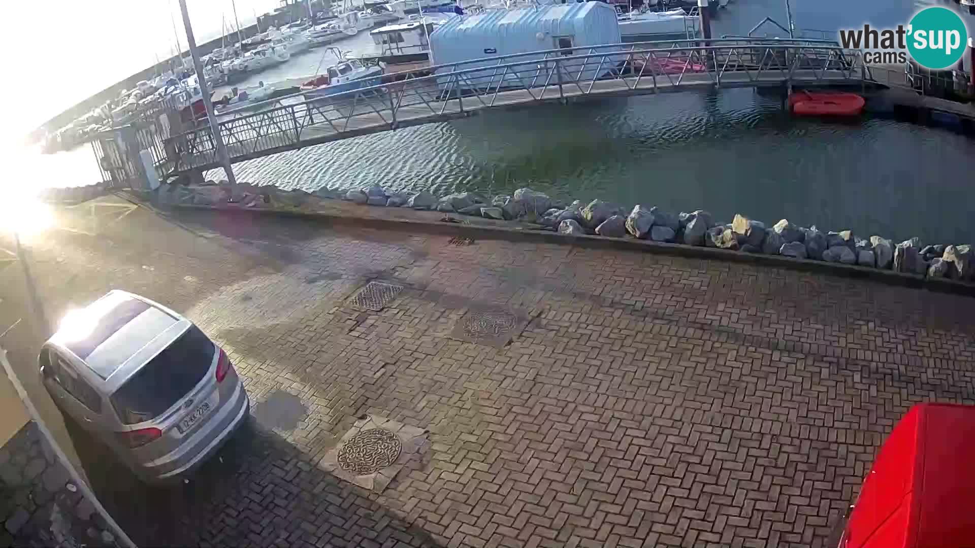 Fenit Marina livecam