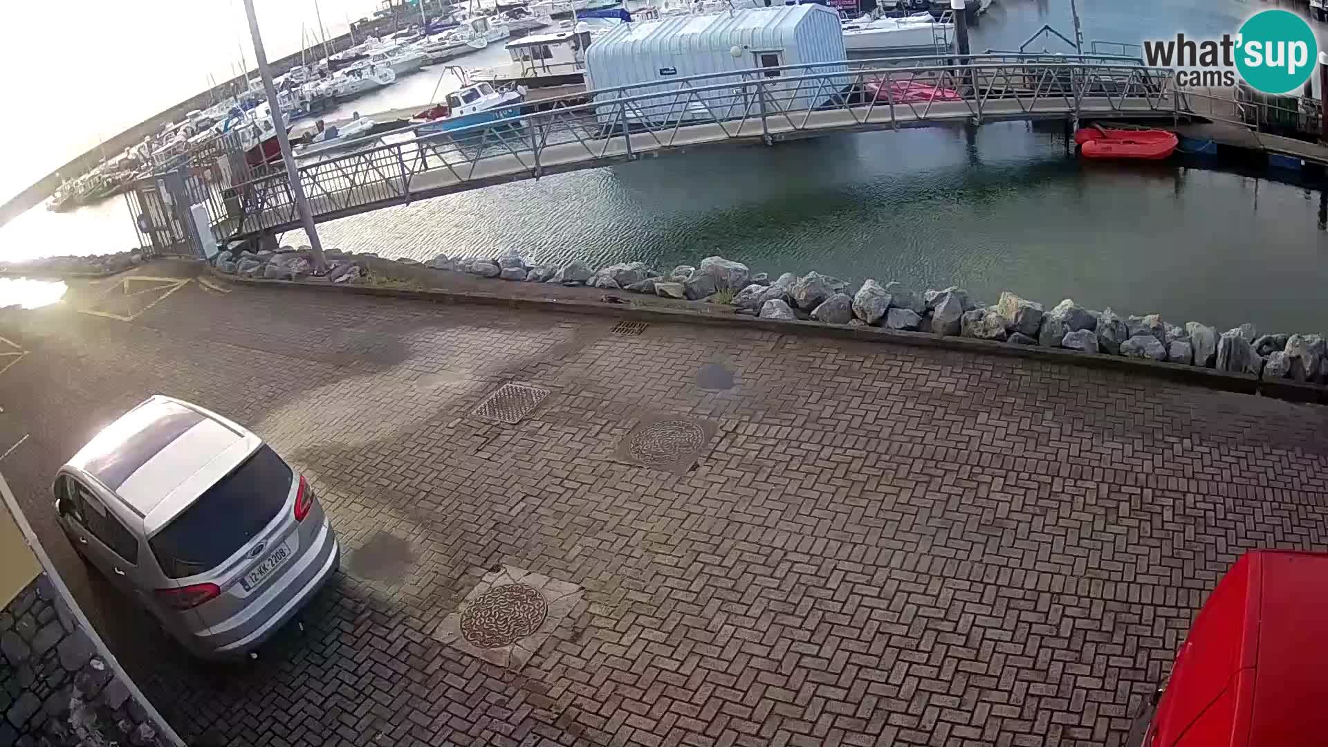 Fenit Marina webcam