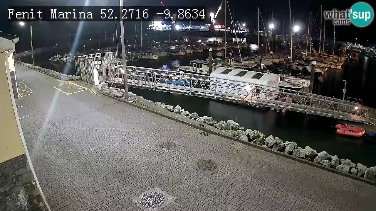 Fenit Marina livecam