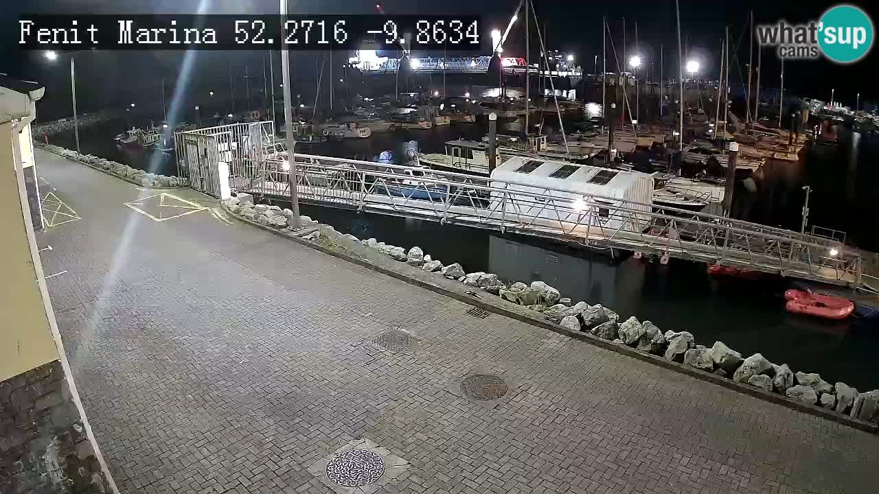 Fenit Marina webcam