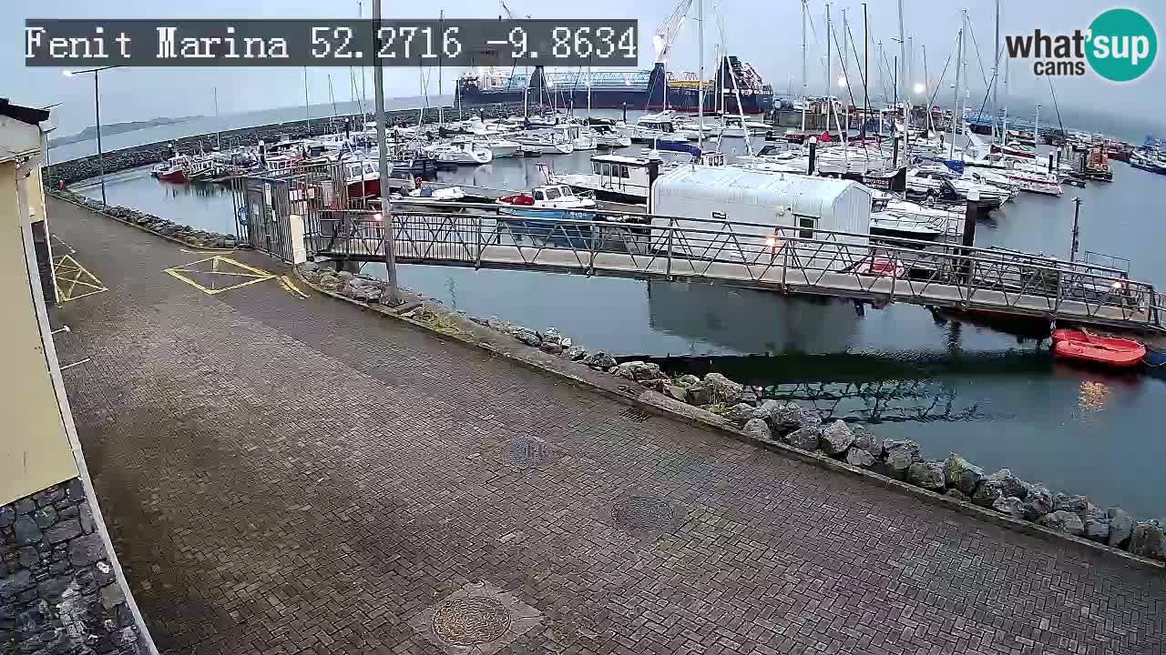 Fenit Marina webcam