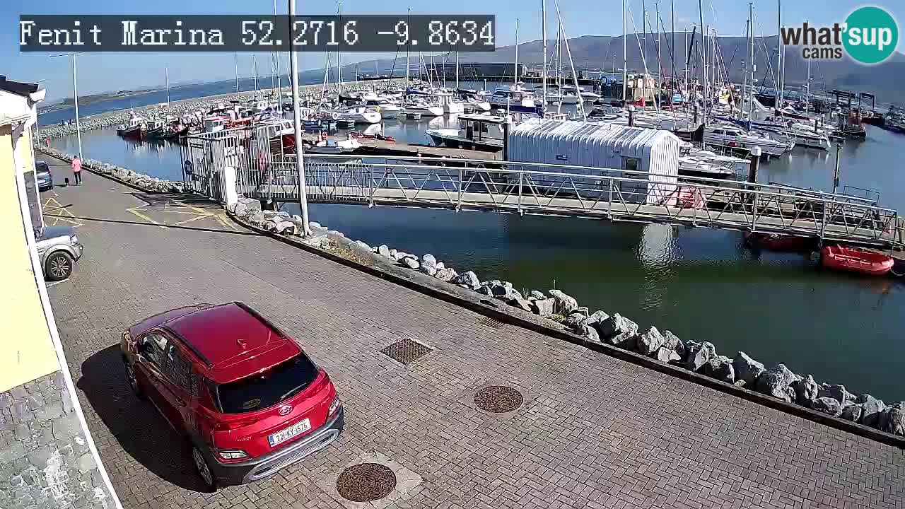 Fenit Marina spletna kamera