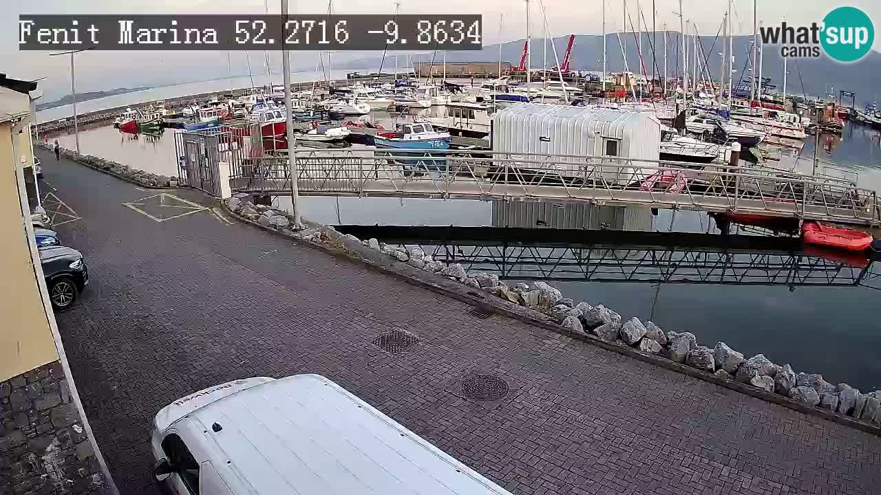 Fenit Marina spletna kamera