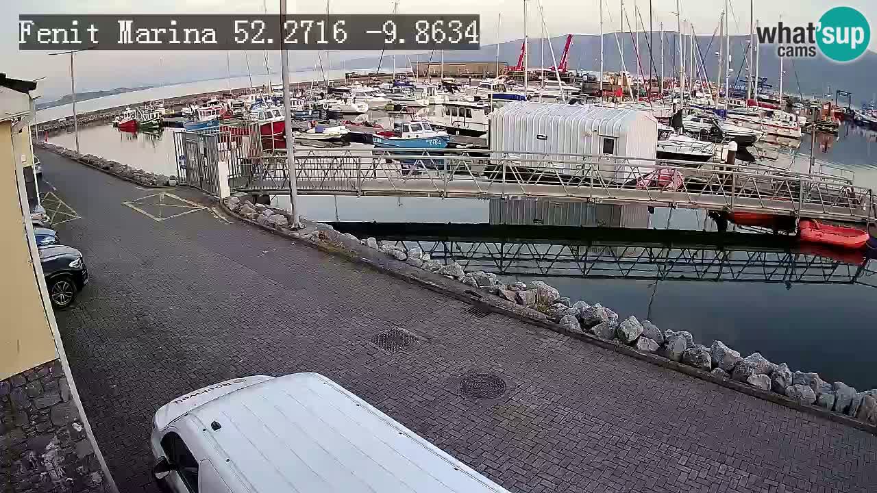 Fenit Marina livecam