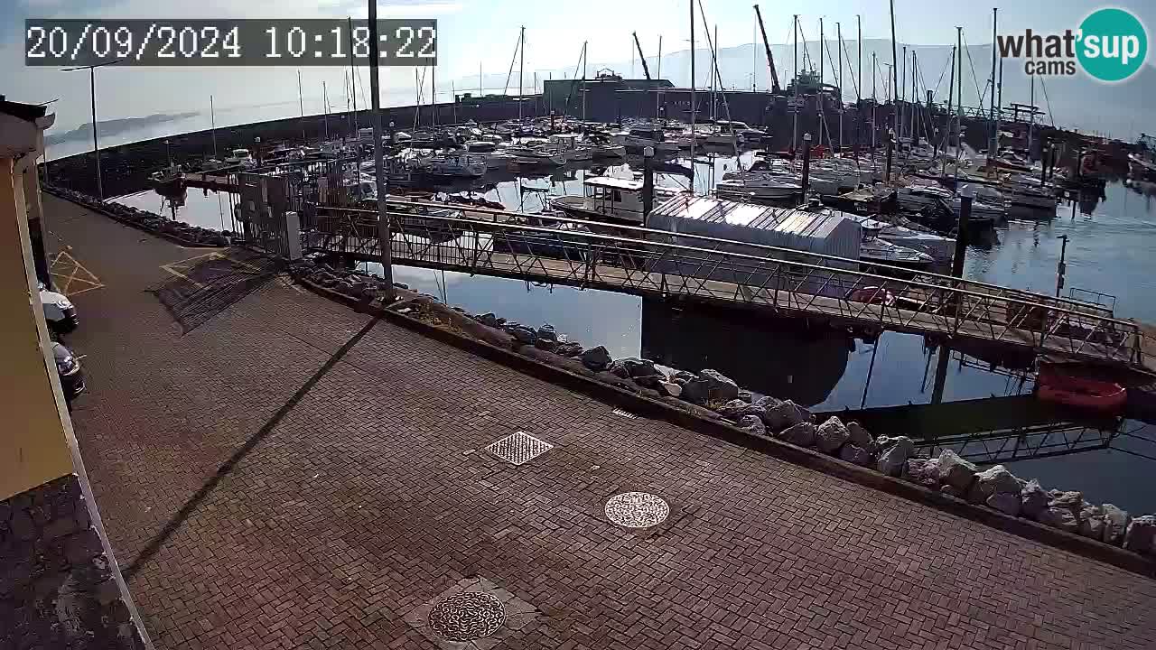 Fenit Marina livecam