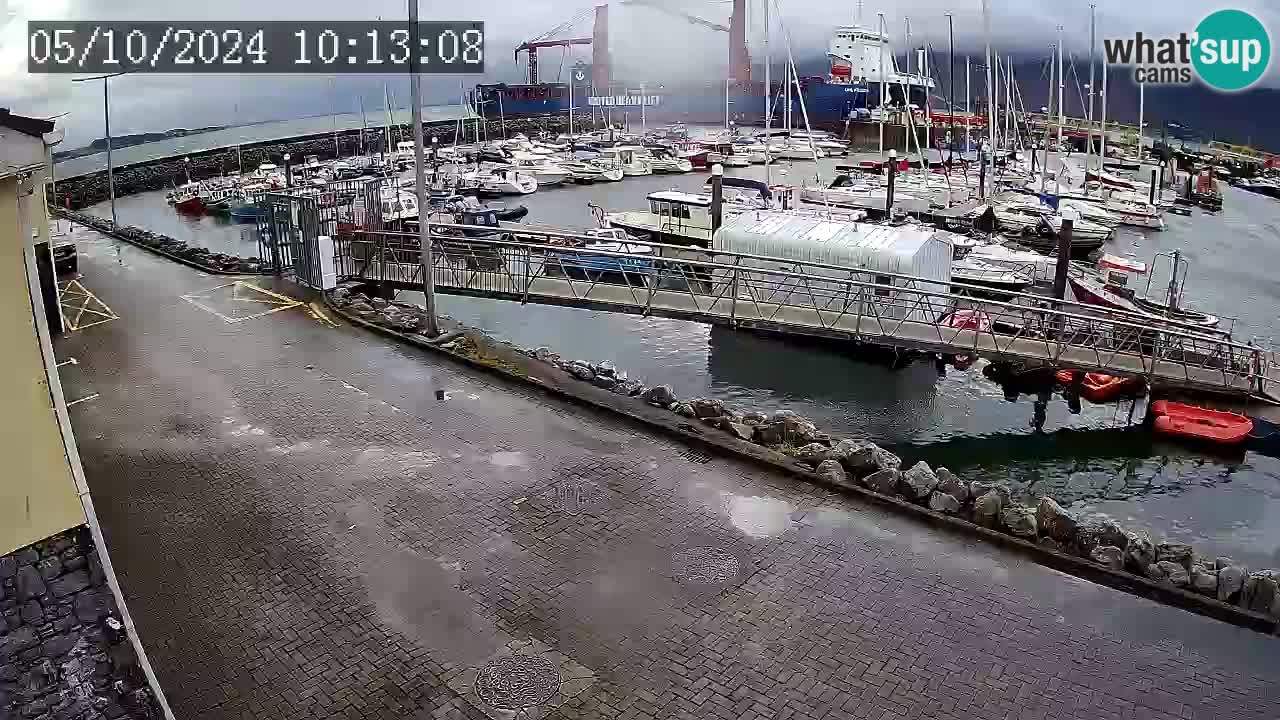 Fenit Marina livecam