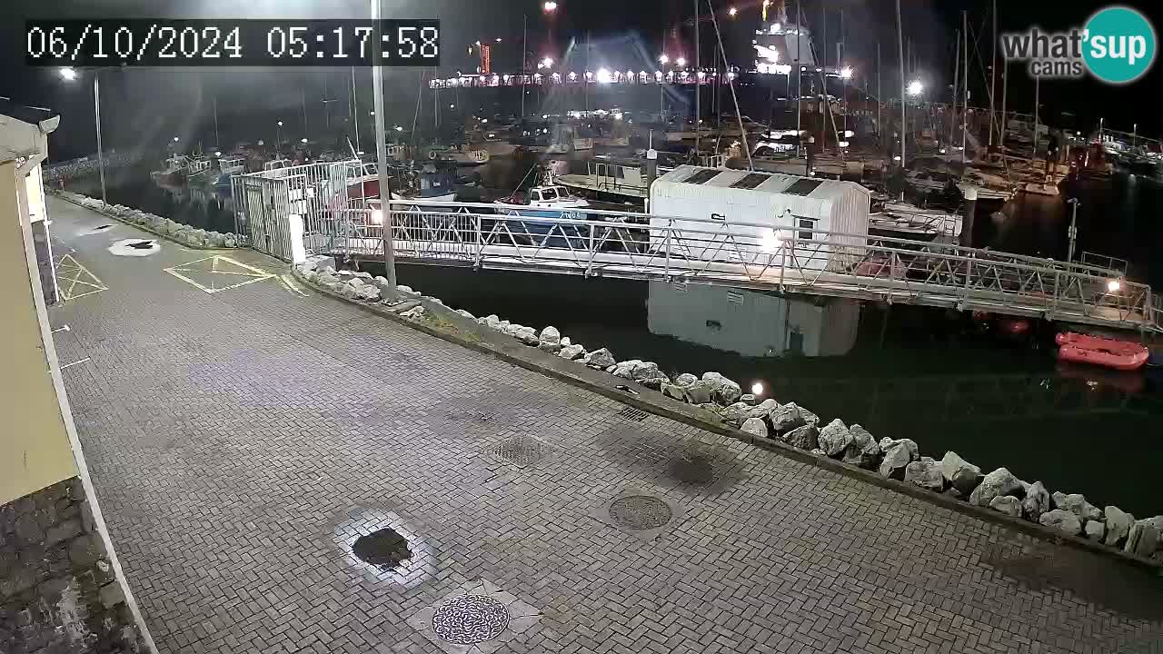 Fenit Marina webcam