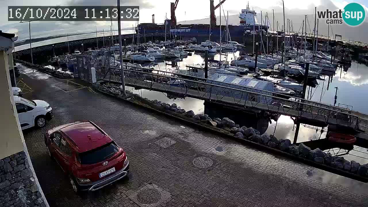 Fenit Marina livecam