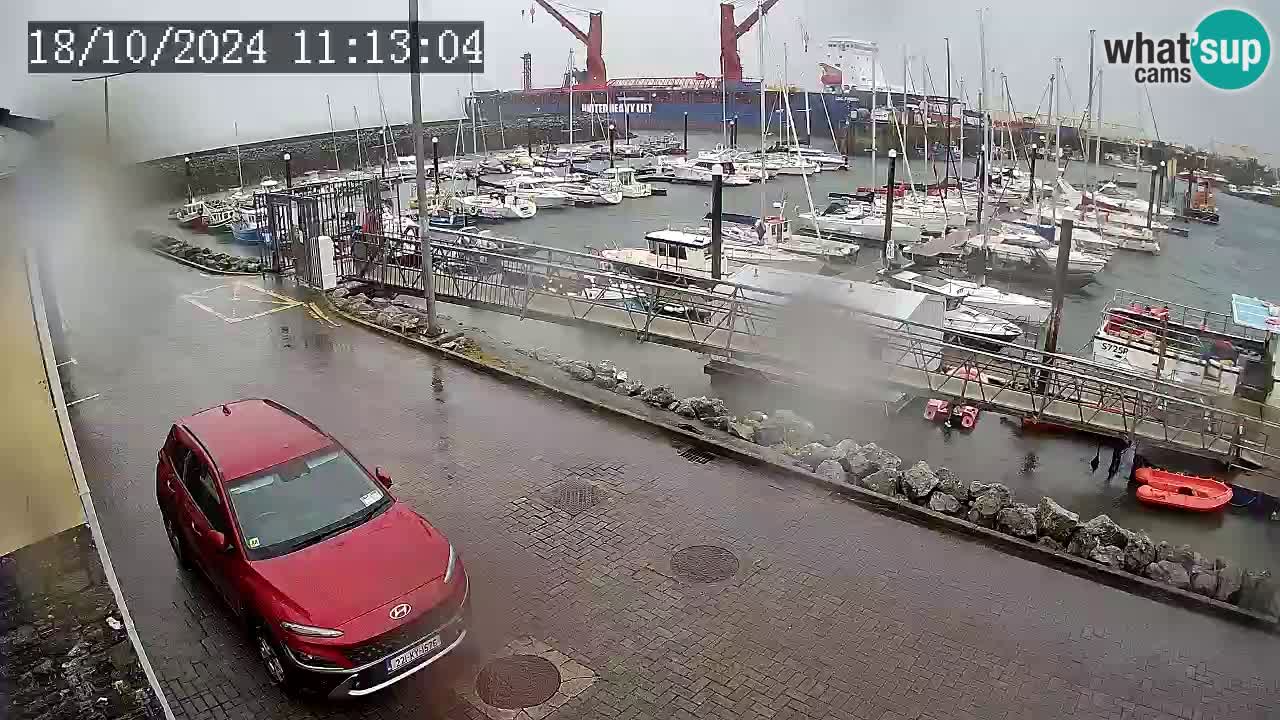 Fenit Marina webcam