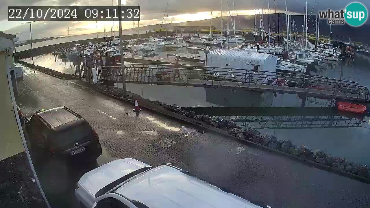 Fenit Marina livecam