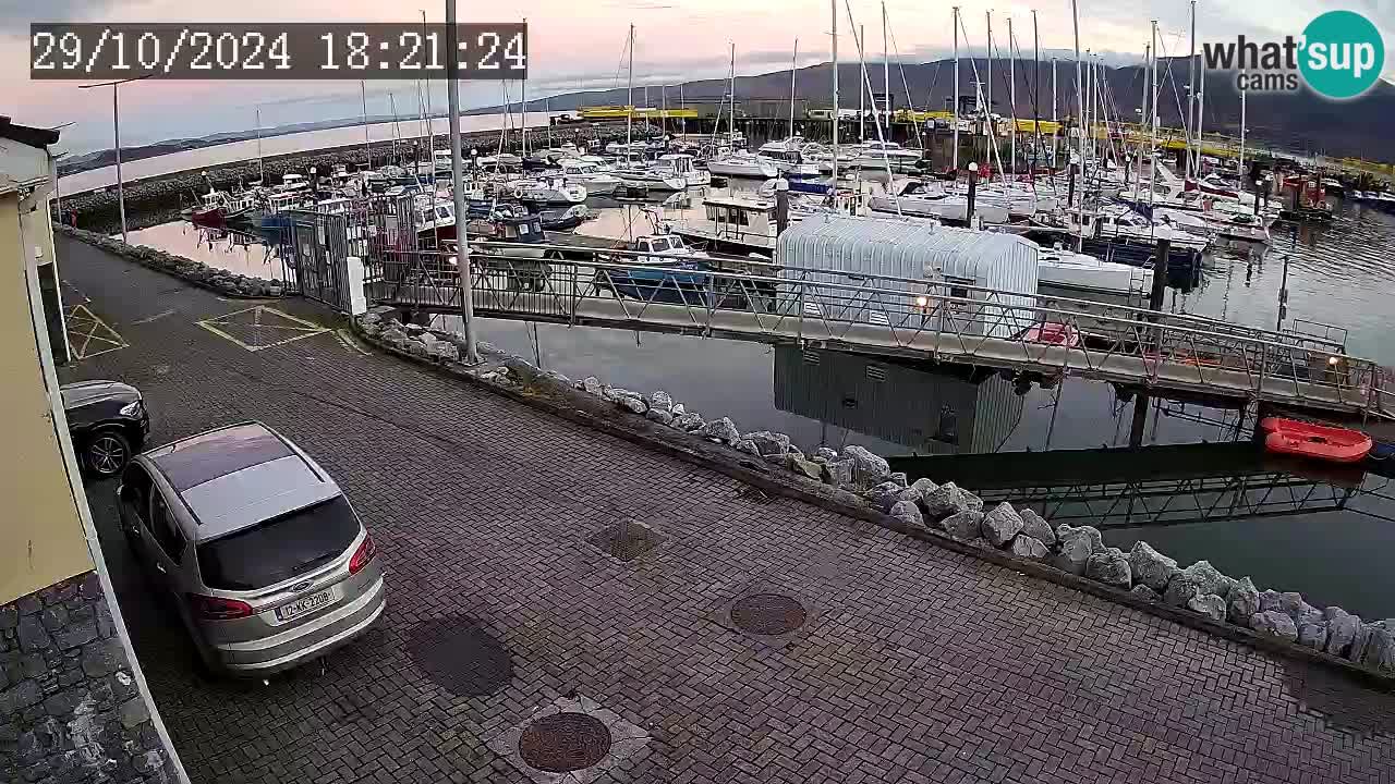 Fenit Marina livecam