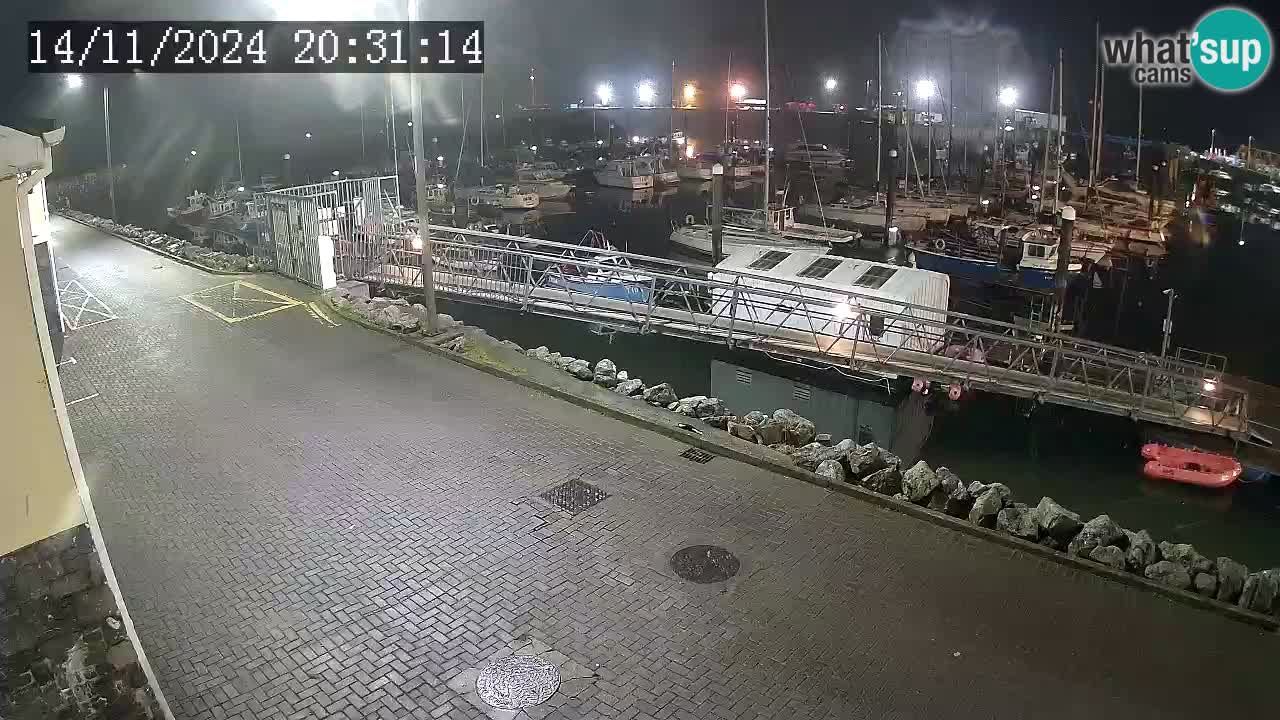 Fenit Marina camera en vivo