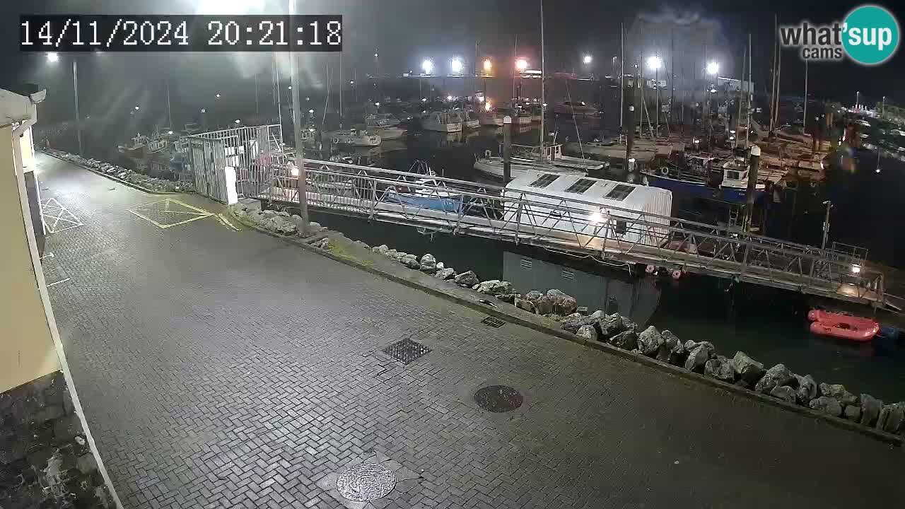 Fenit Marina webcam