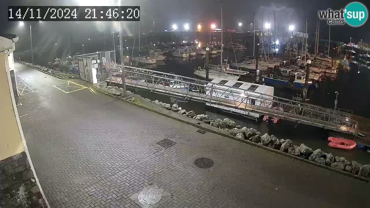 Fenit Marina camera en vivo