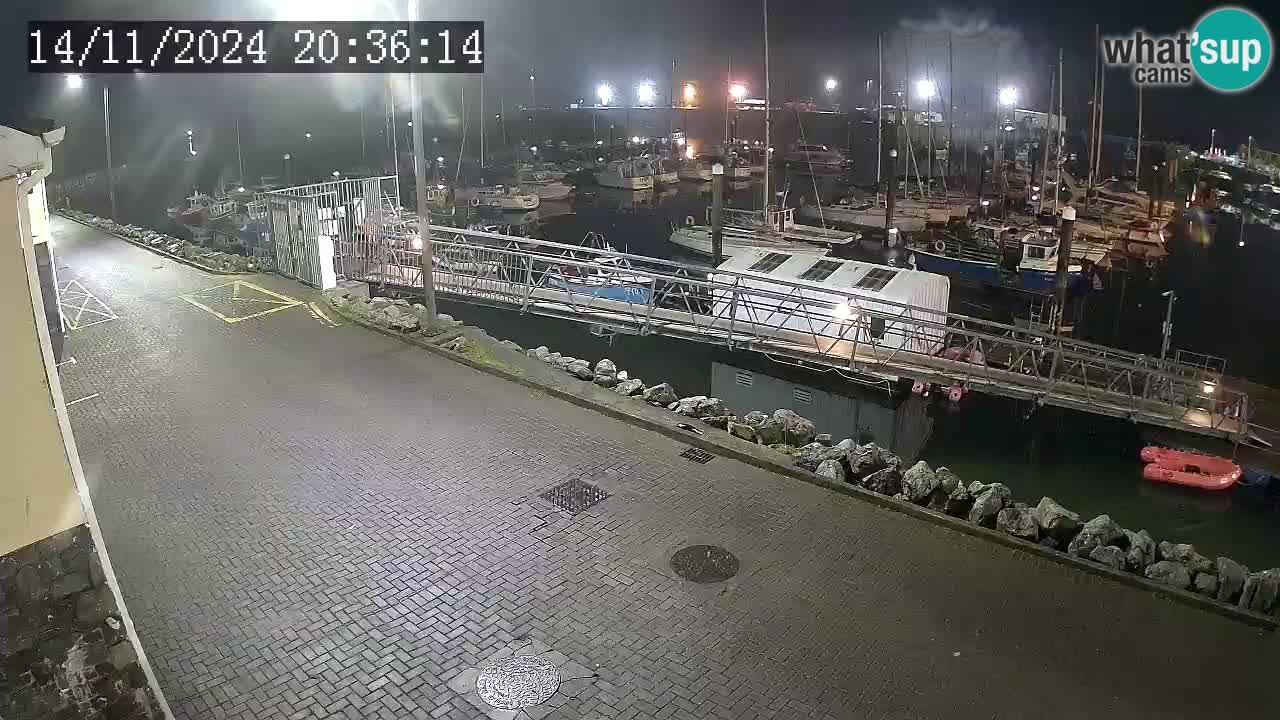 Fenit Marina webcam