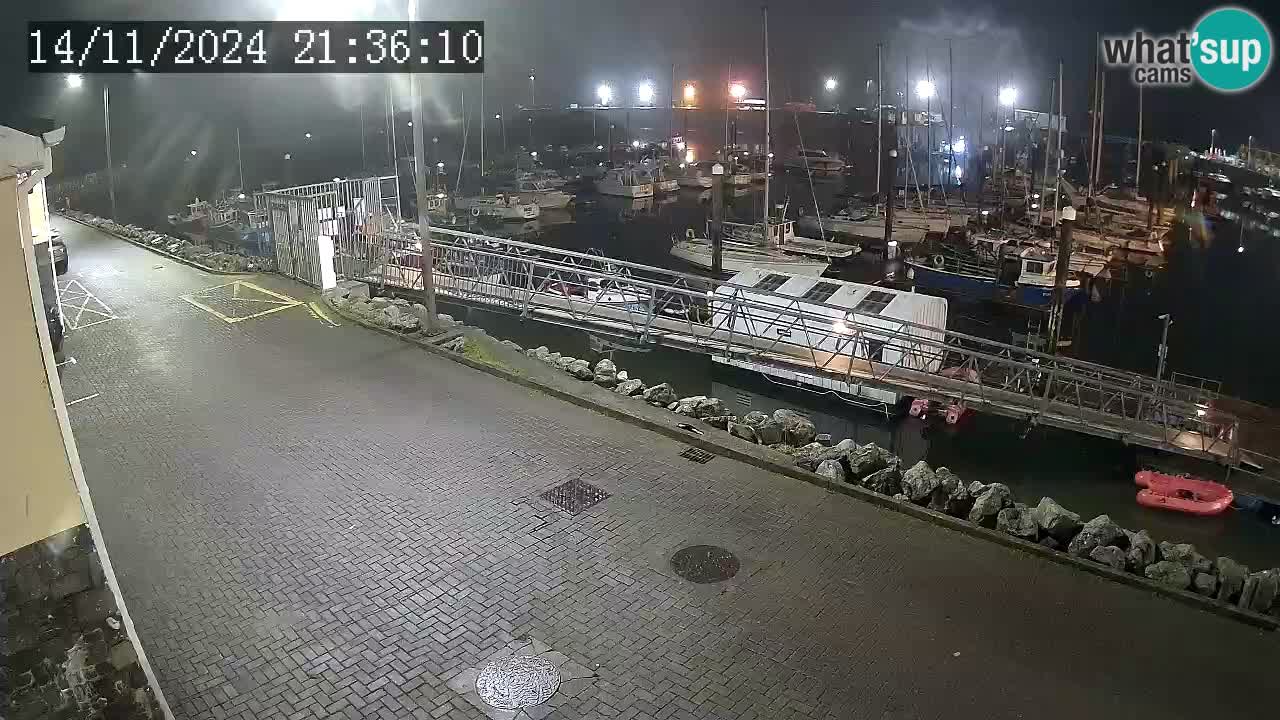 Fenit Marina camera en vivo