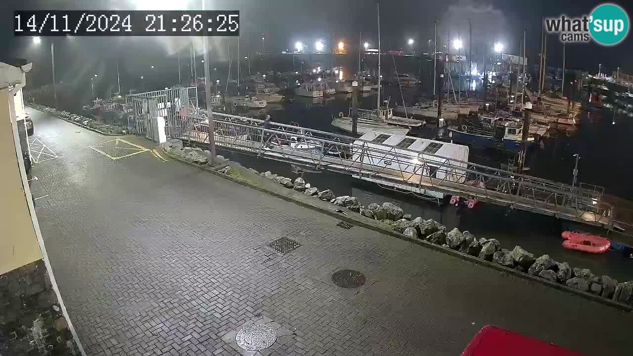 Fenit Marina webcam