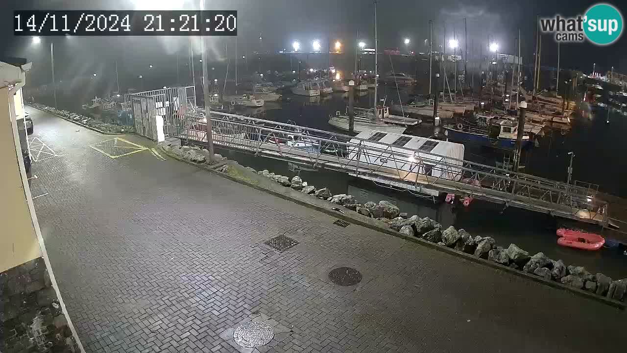 Fenit Marina webcam